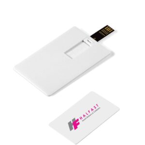 Flash Drive